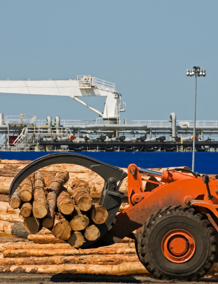 Industrie européenne du bois